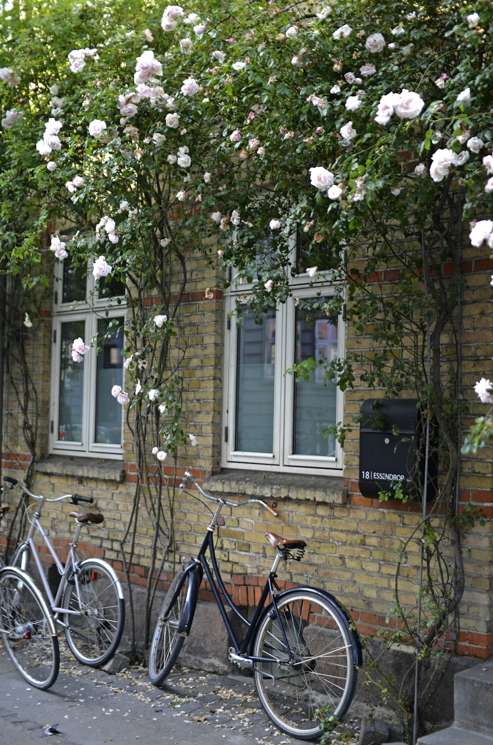 a couple of bikes parked next to a building