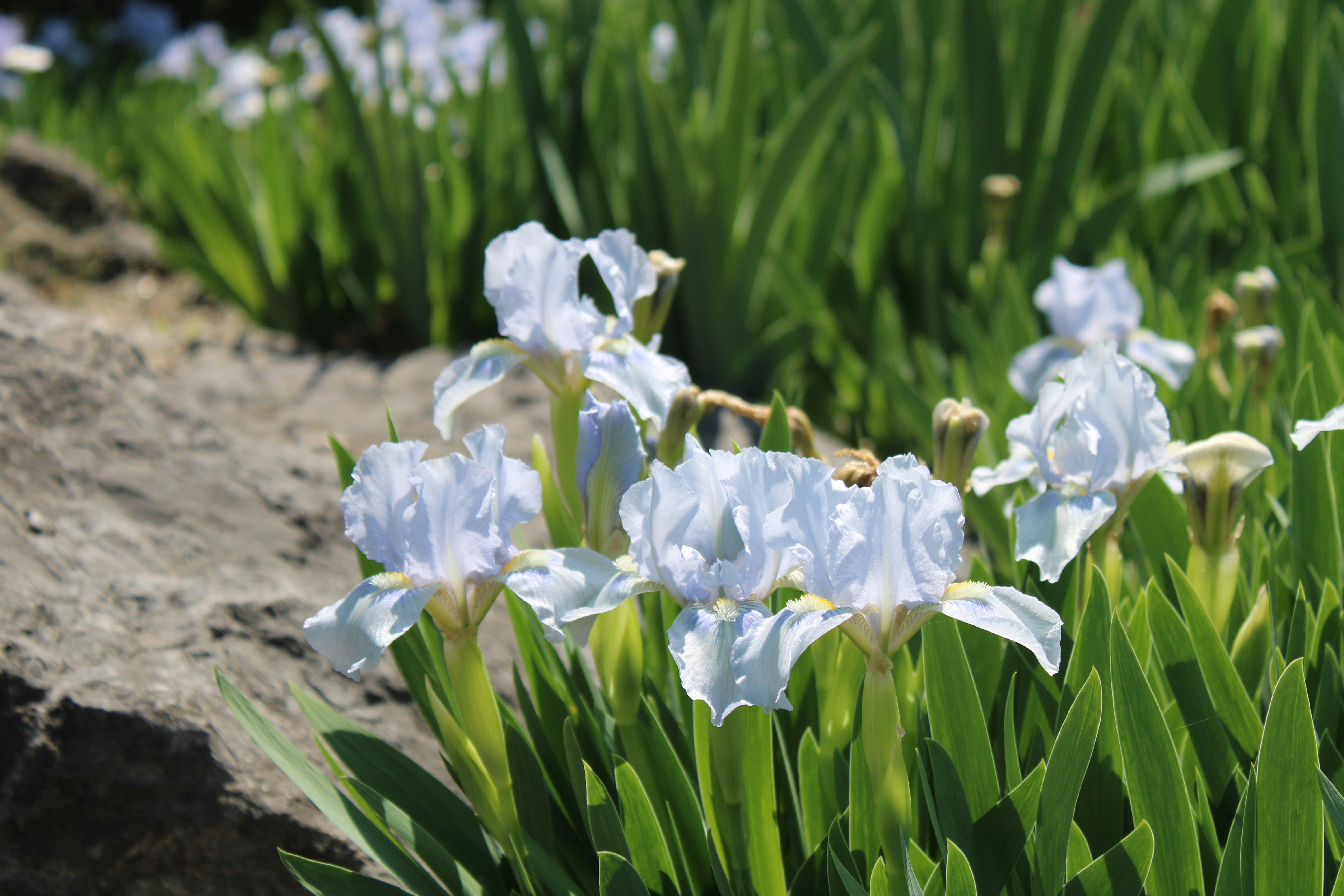 Photo by marinabeala