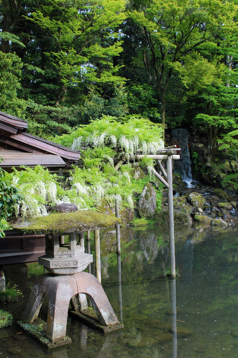 a japanese garden with a pond and a waterfall