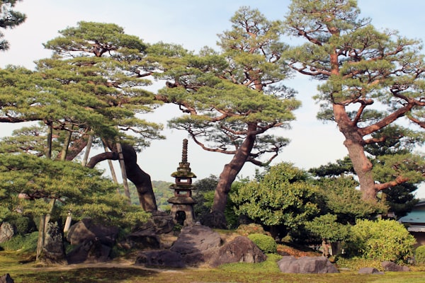 Kanazawa hotels