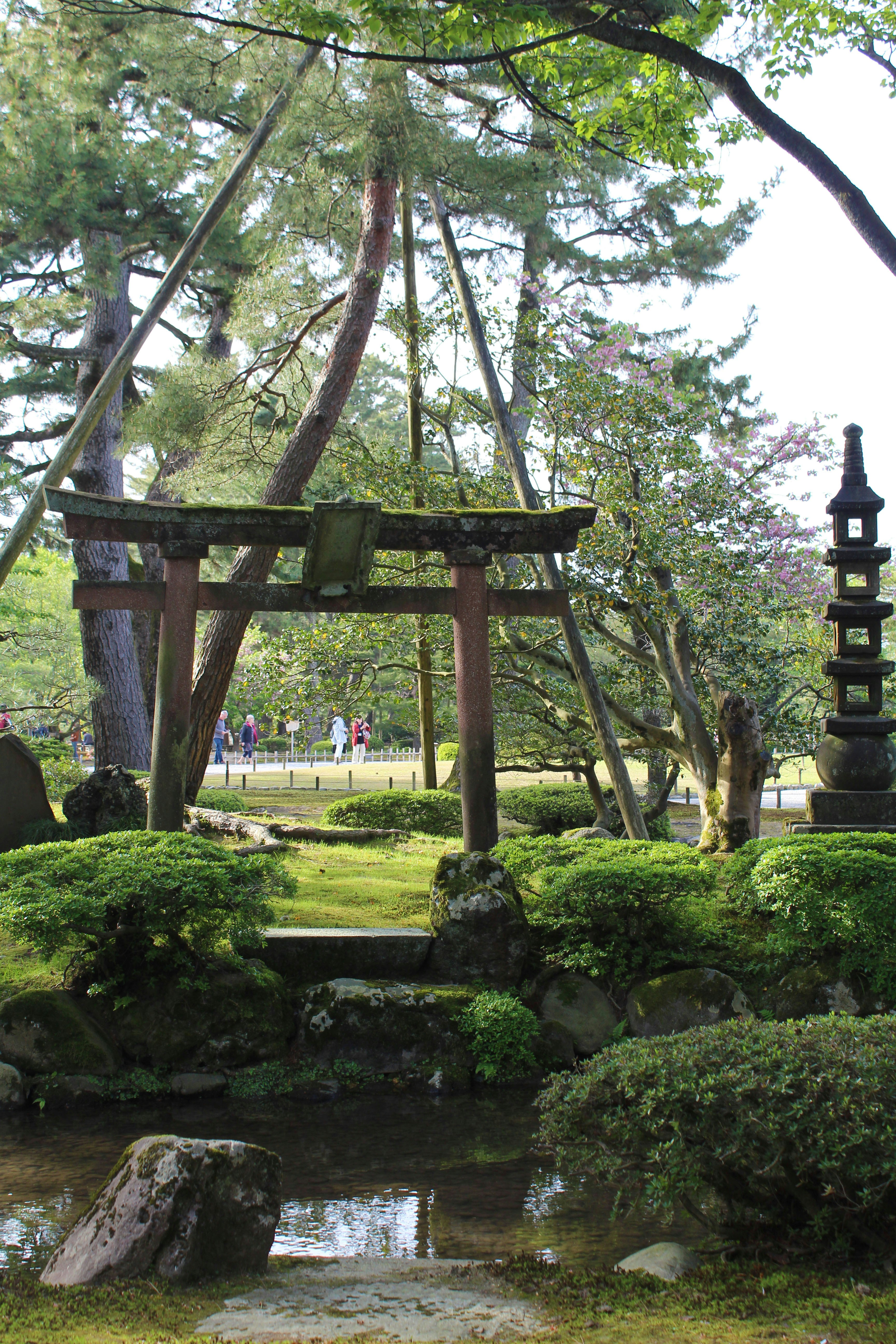 Photo by alexyadarkness