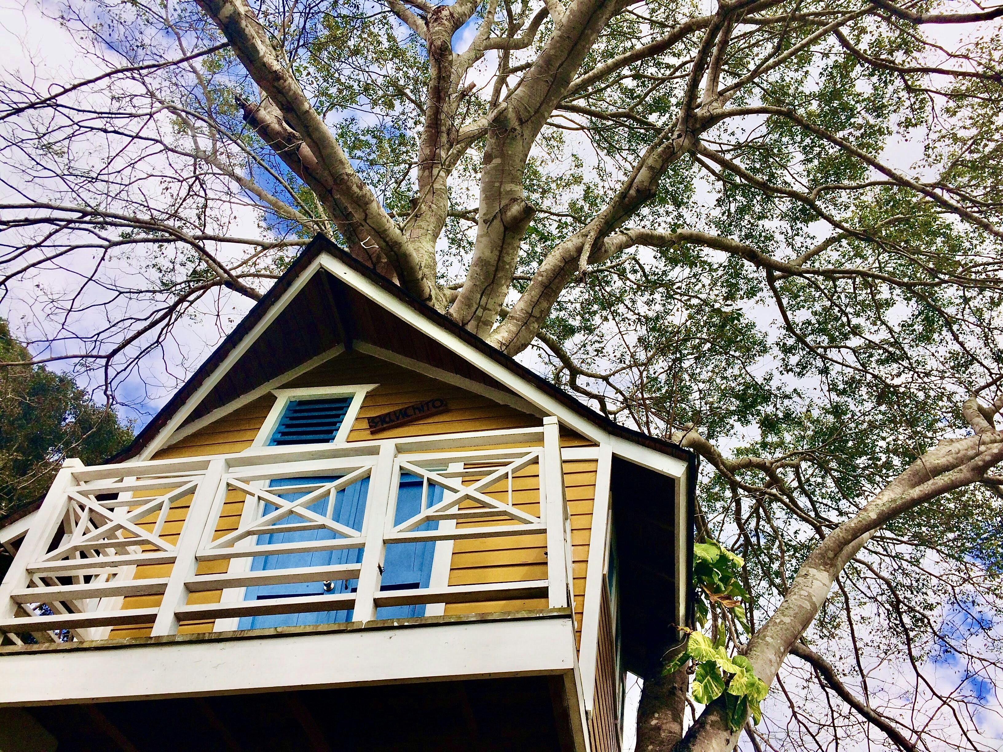 The Magic Treehouse