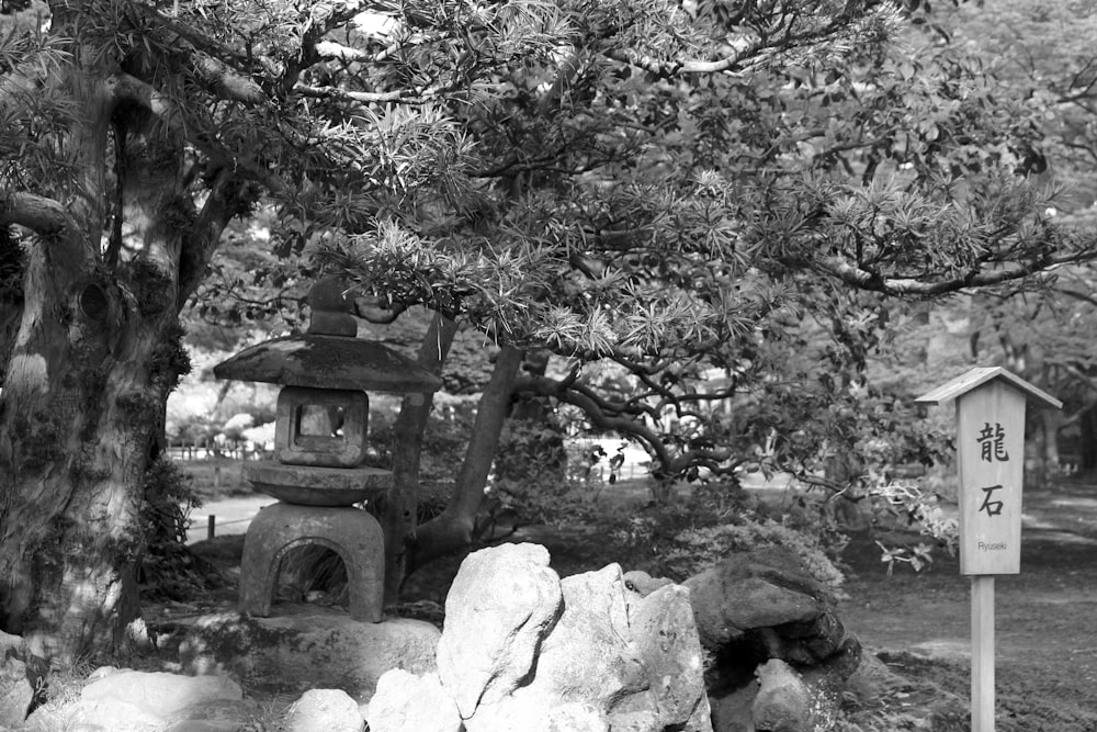 木といくつかの岩の白黒写真