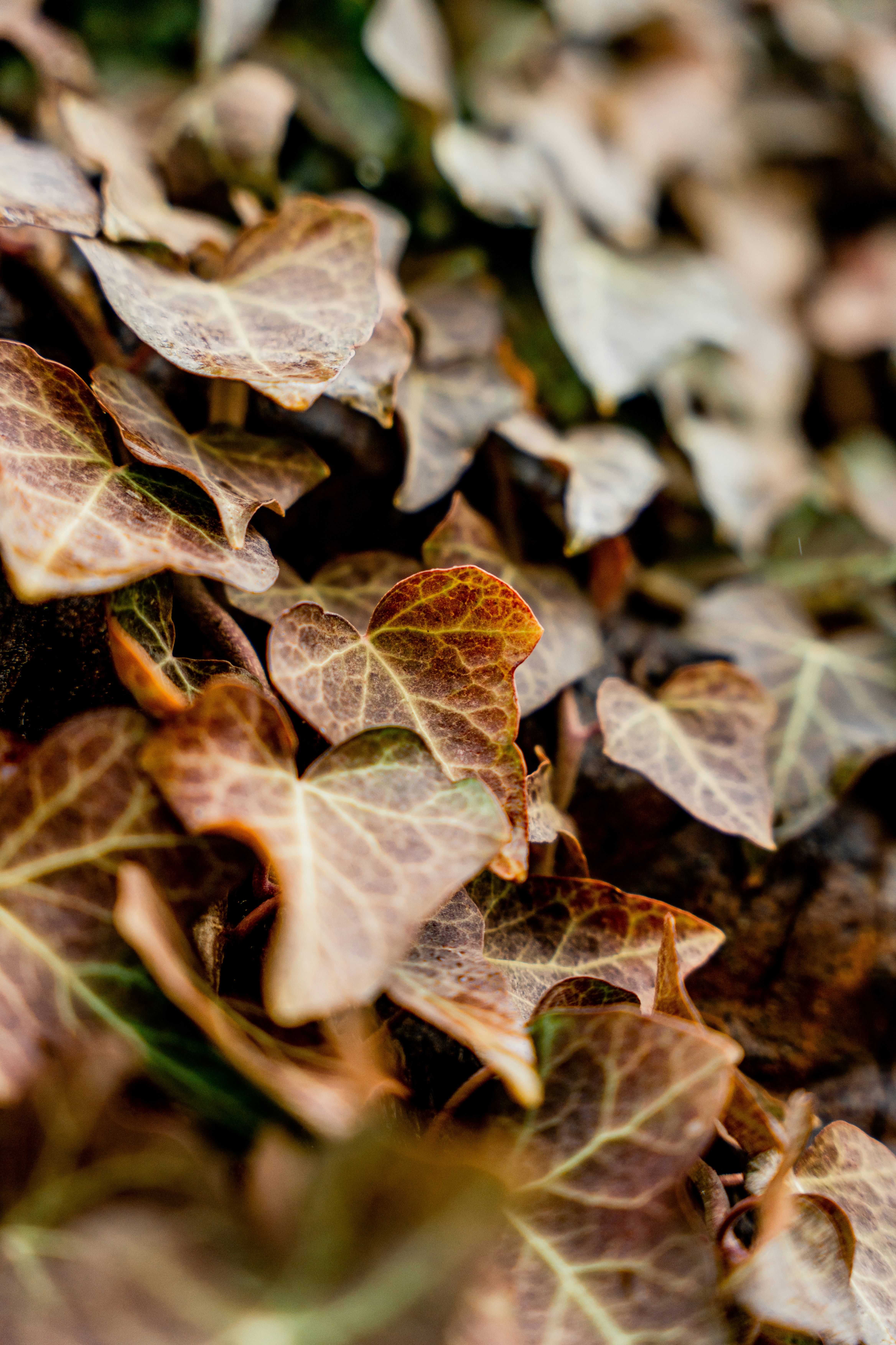 Photo by rvargasphoto