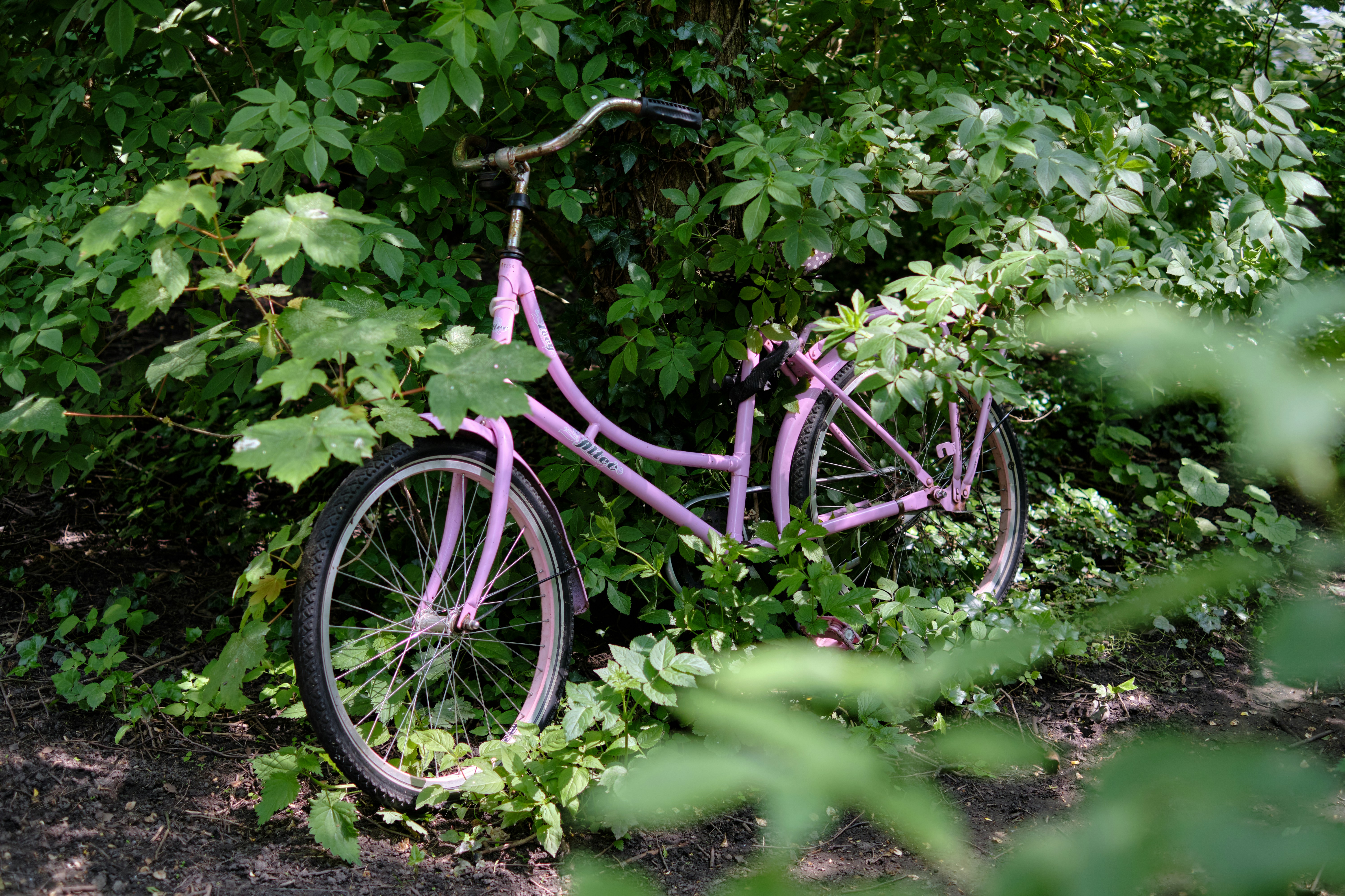 Photo by frostroomhead