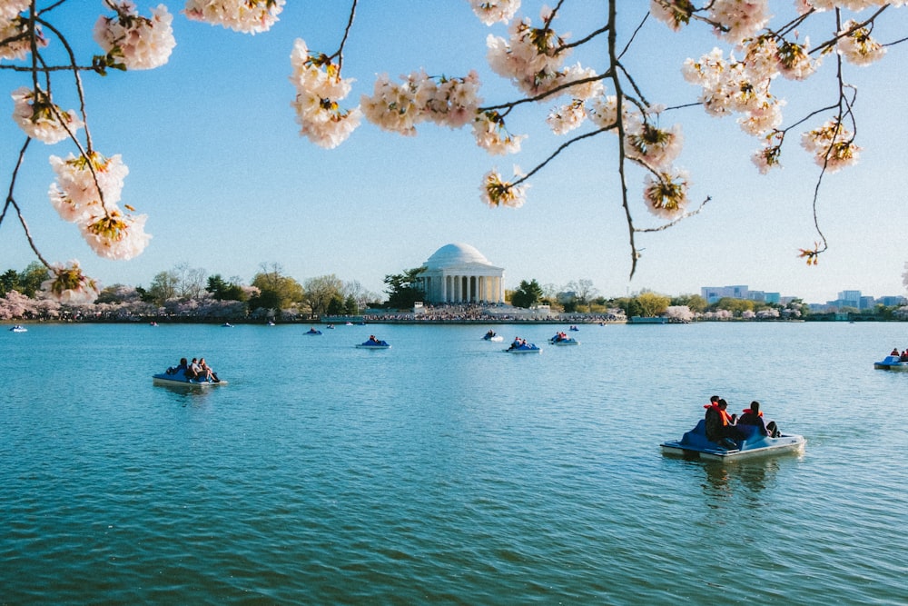 a group of people in small boats on a large body of water