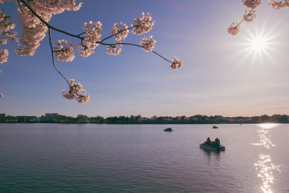 a couple of boats floating on top of a lake