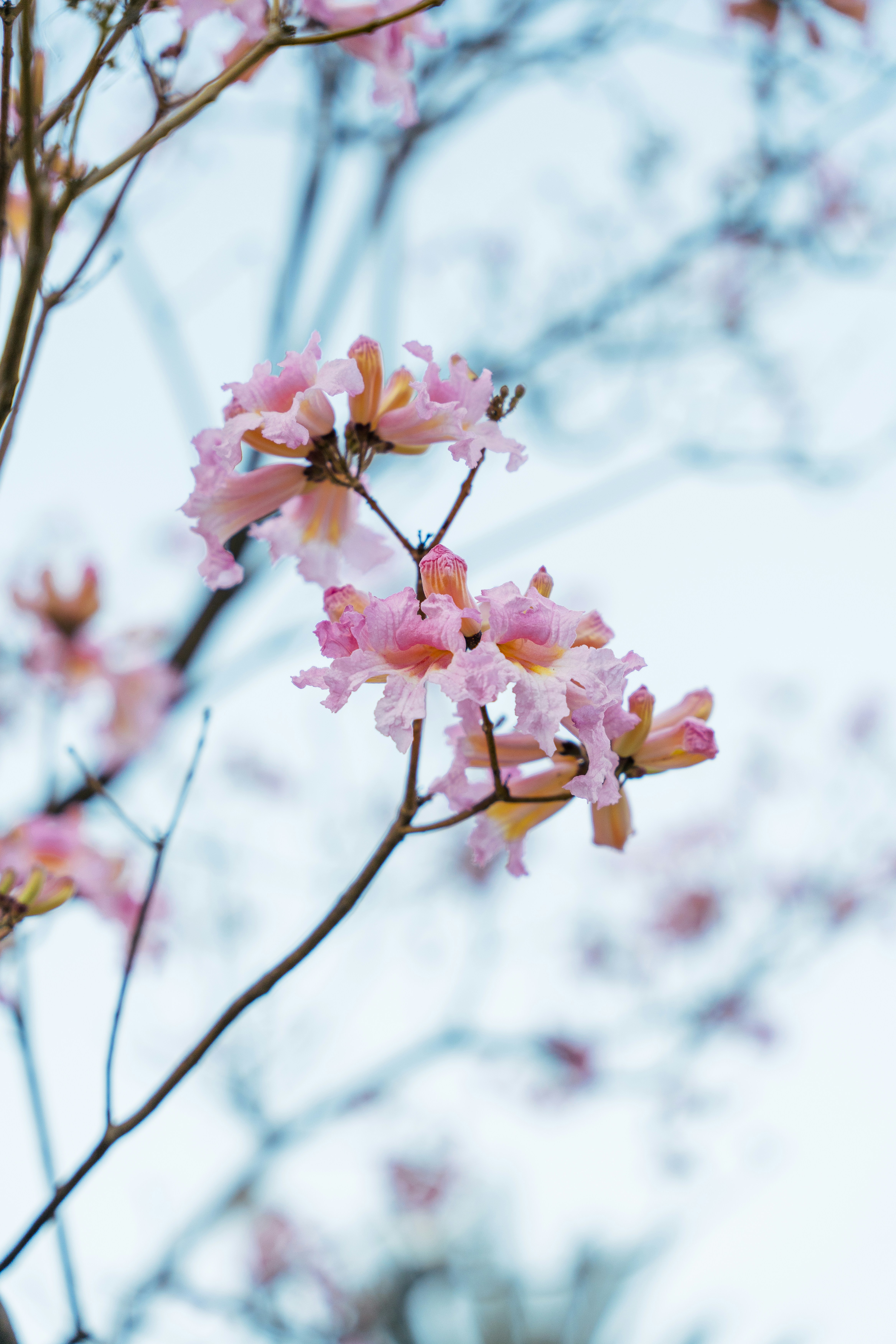 Photo by rvargasphoto