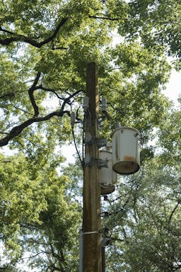 A utility pole with multiple transformers and electrical equipment is surrounded by lush green trees. The pole is weathered, suggesting exposure to the elements over time. The leafy branches create a dense canopy, allowing filtered sunlight to pass through.
