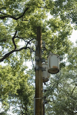 A utility pole with multiple transformers and electrical equipment is surrounded by lush green trees. The pole is weathered, suggesting exposure to the elements over time. The leafy branches create a dense canopy, allowing filtered sunlight to pass through.