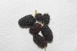 A group of dark-colored mulberries is placed on a textured white surface. The berries vary slightly in size, and some have small green stems attached.