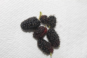 A group of dark-colored mulberries is placed on a textured white surface. The berries vary slightly in size, and some have small green stems attached.