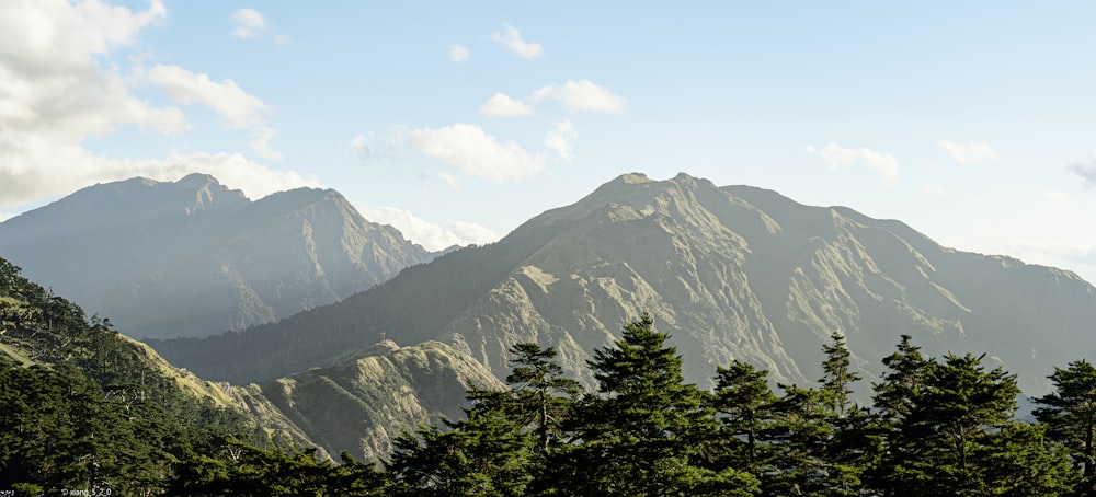 a view of a mountain range with trees in the foreground