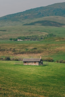 A small, rustic log cabin is situated in the middle of a vast, lush green field with rolling hills in the background.