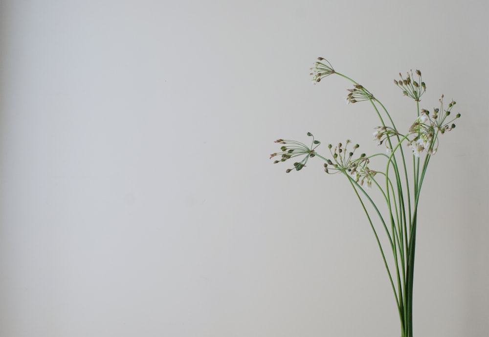 a vase filled with flowers on top of a table