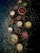 A collection of wooden bowls and containers filled with various powders and substances is arranged on a dark surface scattered with dried herbs. The bowls contain colorful powders including red, white, brown, yellow, and green hues.