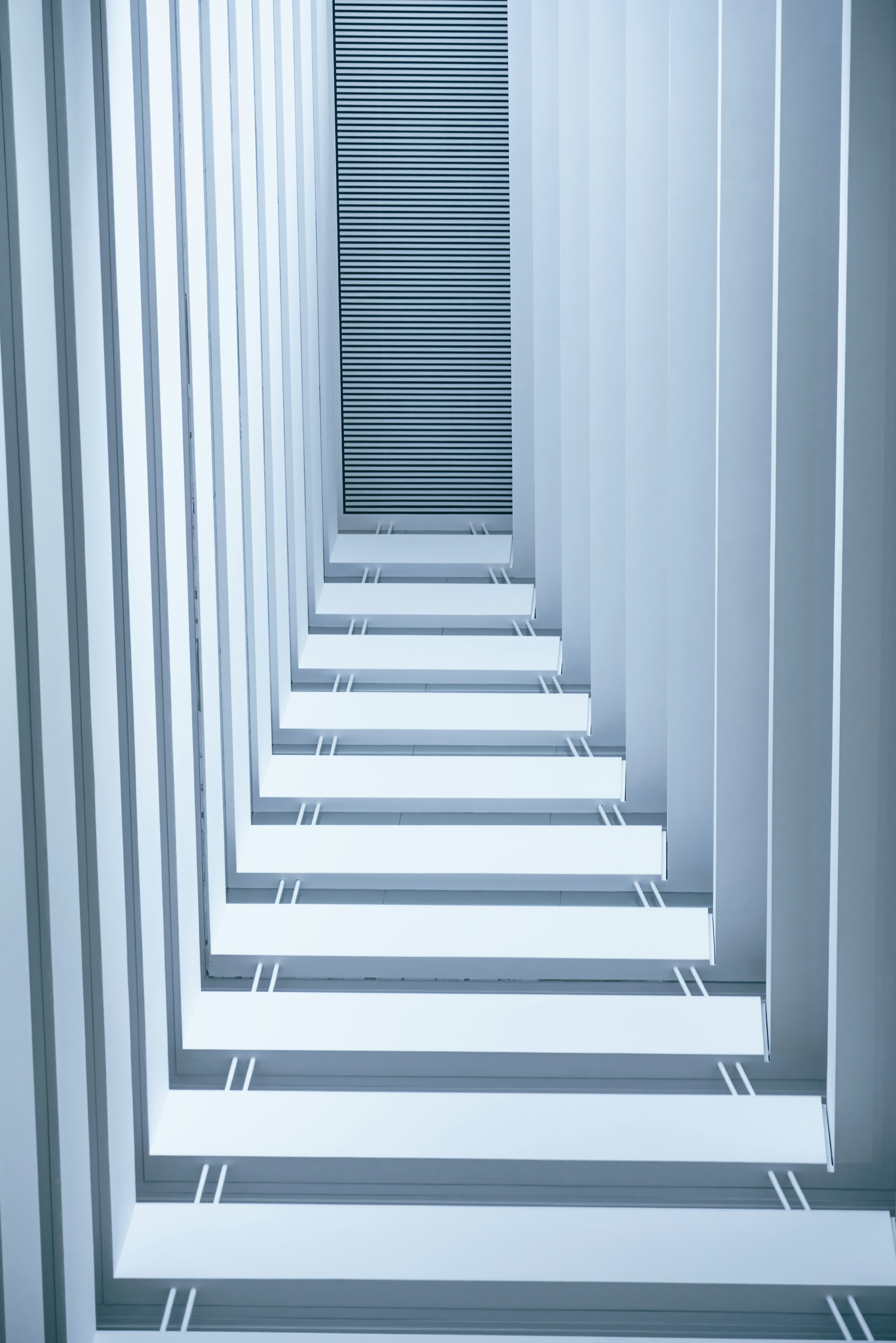 Photo by juniperphoton