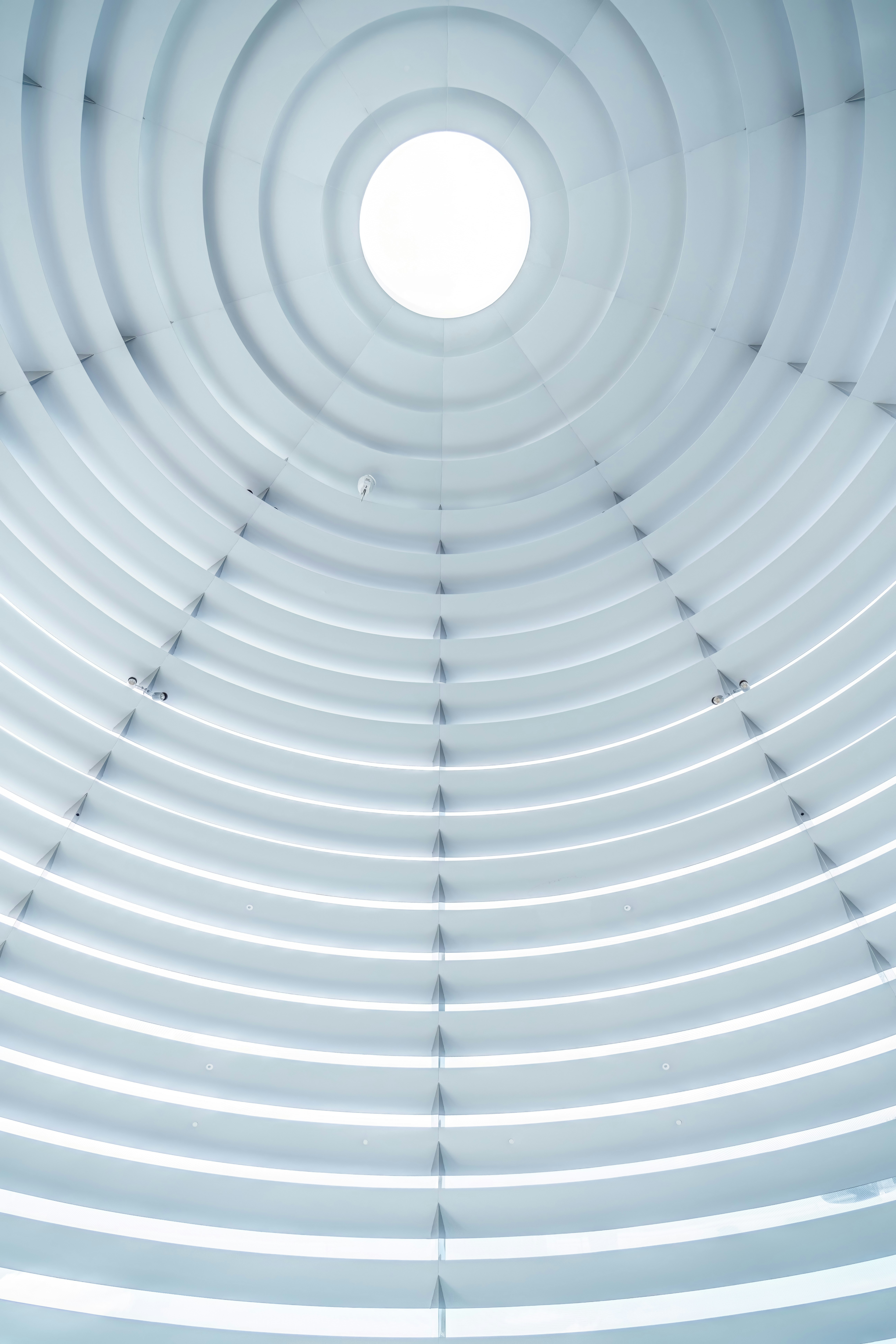 Photo by juniperphoton