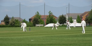 Several people dressed in white uniforms are playing a game of cricket on a well-maintained green field. In the background, there are residential houses with manicured gardens and some trees. The weather appears to be clear with a blue sky.