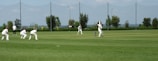 Several players in white uniforms are participating in a cricket match on a grass field. One player is batting while others are fielding. In the background, there are trees, a fence, and the sky is partly cloudy.