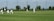 Several players in white uniforms are participating in a cricket match on a grass field. One player is batting while others are fielding. In the background, there are trees, a fence, and the sky is partly cloudy.