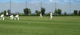 A group of people dressed in white cricket uniforms are playing cricket on a well-manicured green field. One player is batting while others, including an umpire, are positioned around him. The background shows a net fence, some trees, and a clear blue sky.
