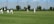 A group of people dressed in white cricket uniforms are playing cricket on a well-manicured green field. One player is batting while others, including an umpire, are positioned around him. The background shows a net fence, some trees, and a clear blue sky.