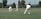 A cricket match scene with players in white uniforms and red caps on a grassy field. One player is mid-swing with a bat, while others are positioned around him, including a wicketkeeper and a bowler in the background. The action captures the moment of a cricket ball in flight.