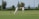 Two people are playing cricket on a well-maintained grassy field. One player is batting while the other is fielding, both wearing traditional white cricket attire and maroon caps. The scene is set outdoors with trees and a distant view of the landscape under a clear sky.