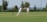 Two people are playing cricket on a well-maintained grassy field. One player is batting while the other is fielding, both wearing traditional white cricket attire and maroon caps. The scene is set outdoors with trees and a distant view of the landscape under a clear sky.