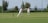 Two people are playing cricket on a well-maintained grassy field. One player is batting while the other is fielding, both wearing traditional white cricket attire and maroon caps. The scene is set outdoors with trees and a distant view of the landscape under a clear sky.