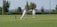 Two people are playing cricket on a well-maintained grassy field. One player is batting while the other is fielding, both wearing traditional white cricket attire and maroon caps. The scene is set outdoors with trees and a distant view of the landscape under a clear sky.