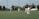 A group of people are playing cricket on a well-maintained grass field. Several players are dressed in white cricket attire and are positioned around the pitch. Some trees and houses are visible in the background, under a clear sky.
