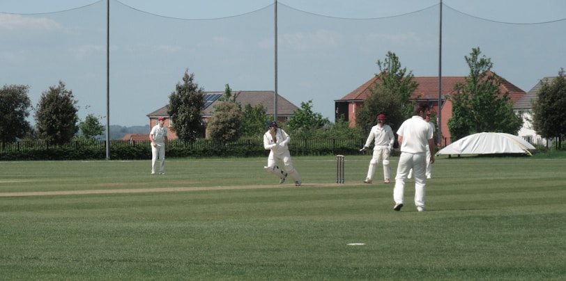 A group of people are playing cricket on a well-maintained grass field. Several players are dressed in white cricket attire and are positioned around the pitch. Some trees and houses are visible in the background, under a clear sky.