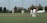 A group of people are playing cricket on a well-maintained grass field. Several players are dressed in white cricket attire and are positioned around the pitch. Some trees and houses are visible in the background, under a clear sky.