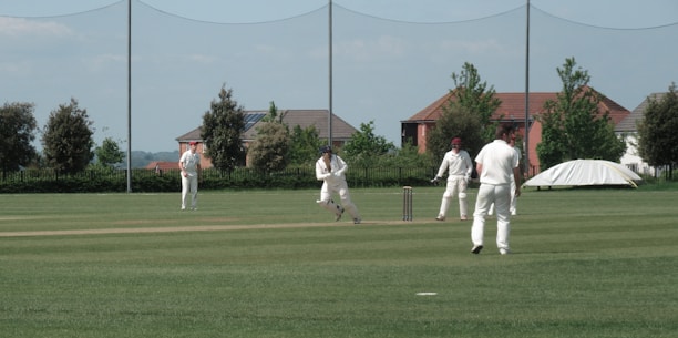 A group of people are playing cricket on a well-maintained grass field. Several players are dressed in white cricket attire and are positioned around the pitch. Some trees and houses are visible in the background, under a clear sky.