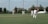 A group of people are playing cricket on a well-maintained grass field. Several players are dressed in white cricket attire and are positioned around the pitch. Some trees and houses are visible in the background, under a clear sky.