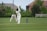 A cricket match is taking place on a grassy field. A batsman in white uniform and helmet is poised to strike the ball with a wooden bat. Behind the batsman, a wicket keeper in a similar white outfit is ready to catch the ball. The scene is set against a backdrop of green bushes and residential houses with visible rooftops. The sky is partly cloudy, adding to the sunny ambiance.