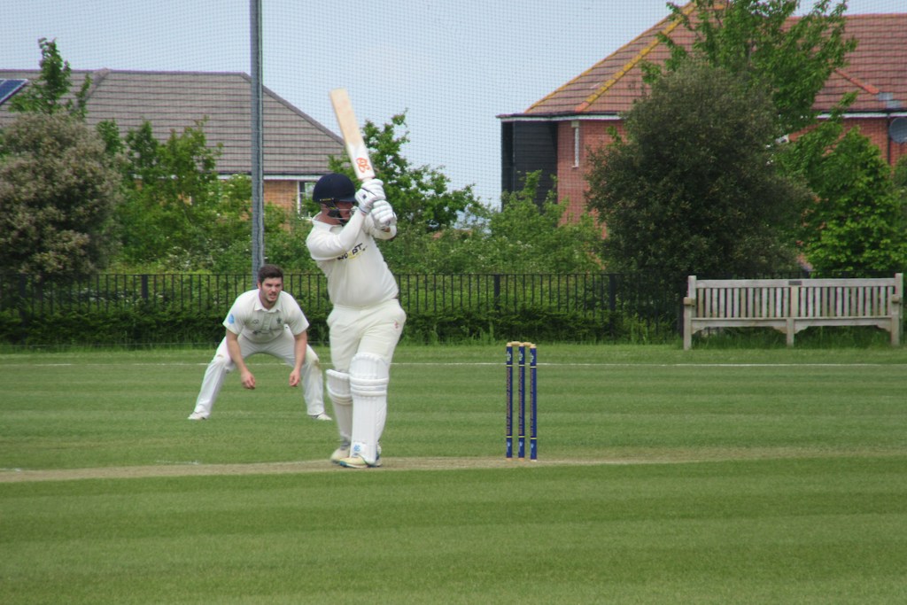 Heritage Willow Bat