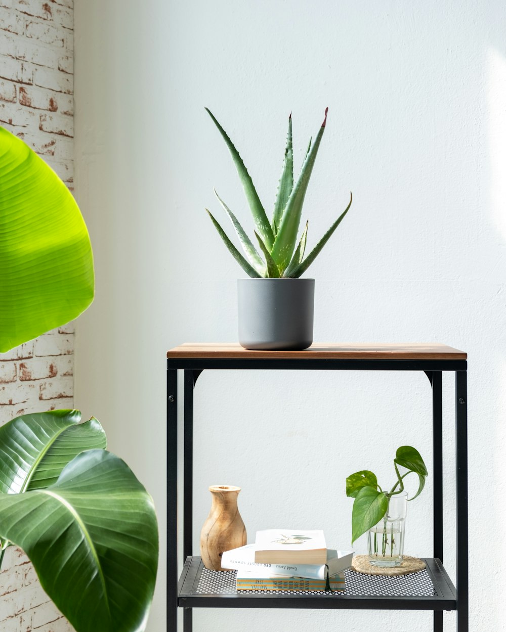 a shelf with a potted plant on top of it