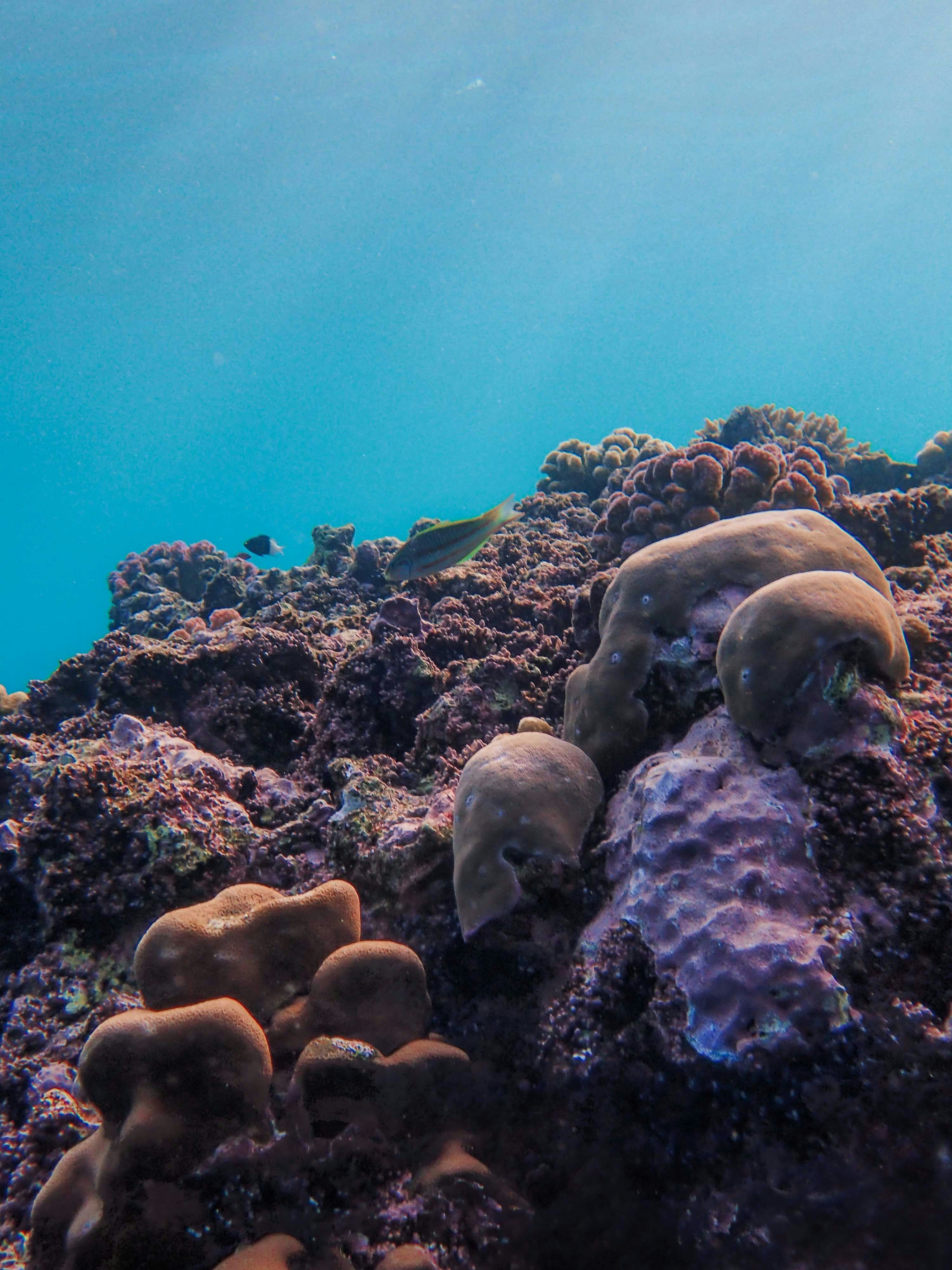 Photo by francesco_ungaro