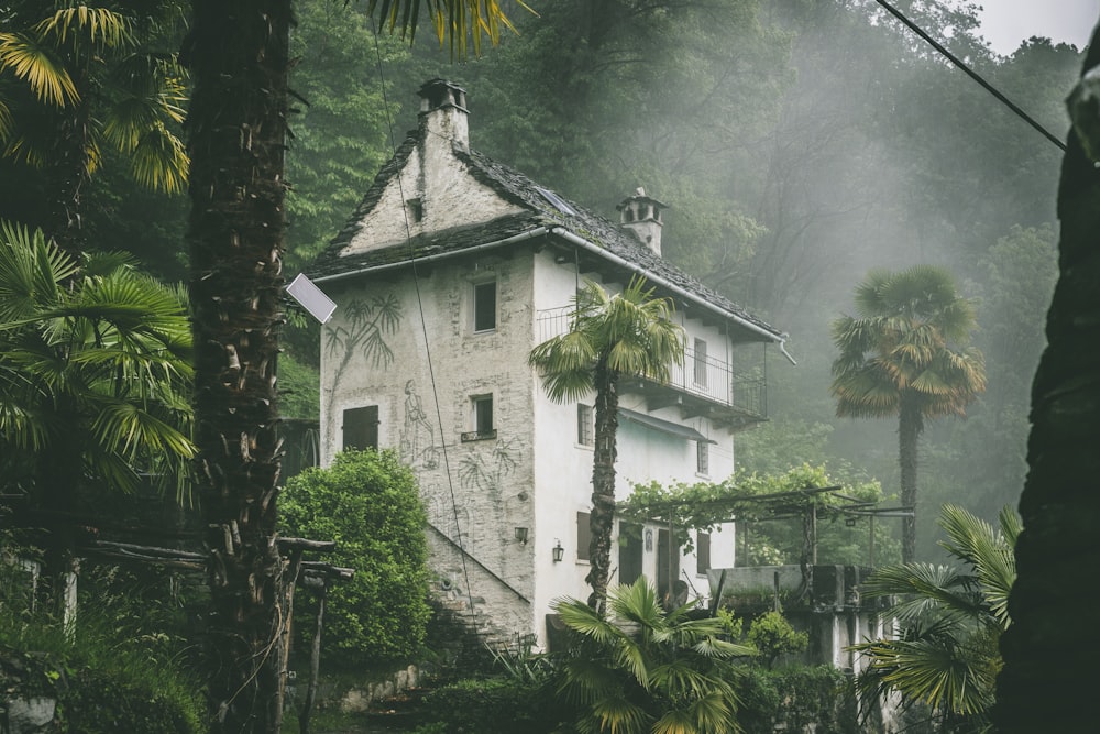 uma casa branca cercada por palmeiras na chuva