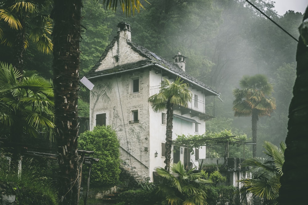 雨の中のヤシの木に囲まれた白い家