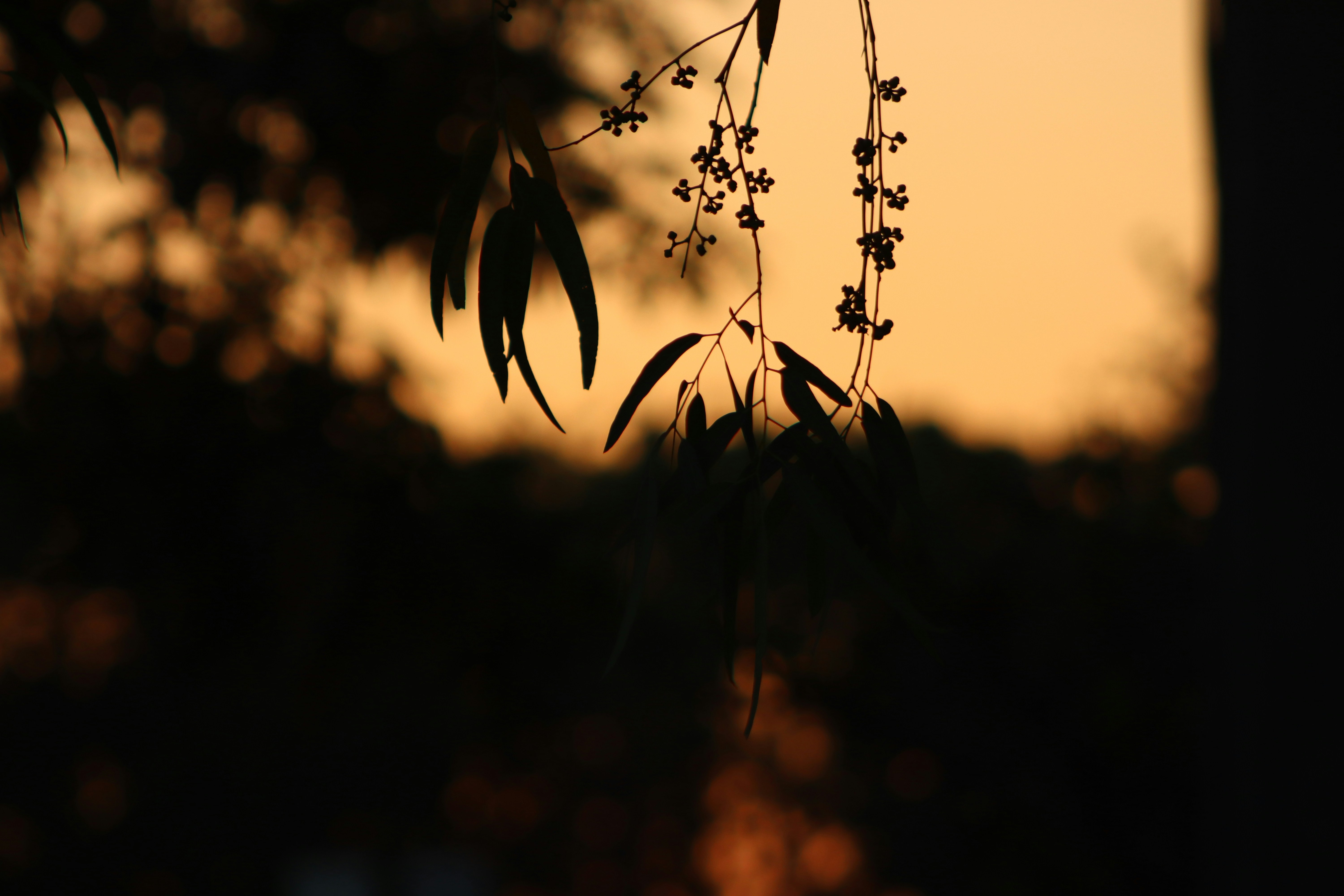 Photo by drphotographer152