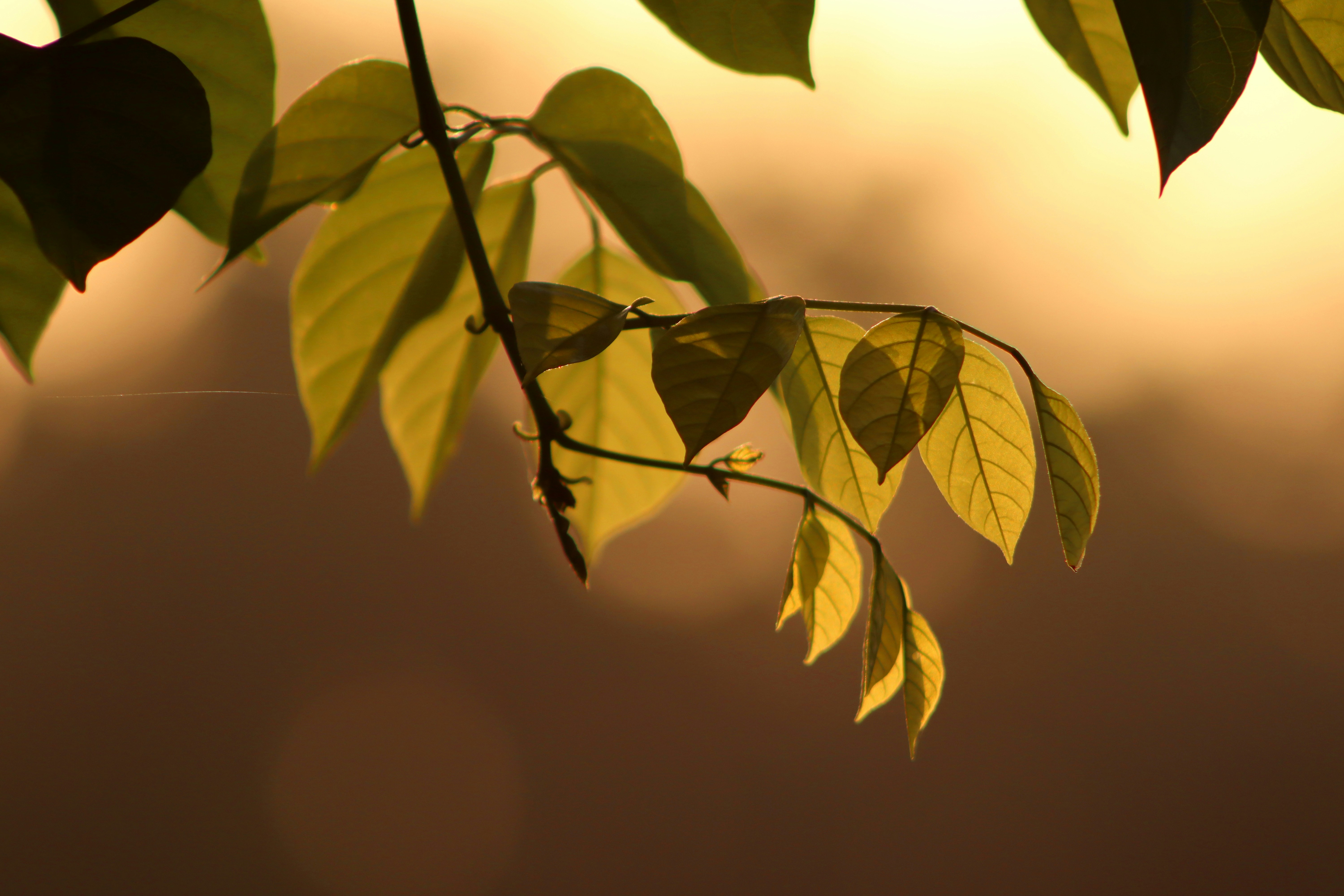 Photo by drphotographer152