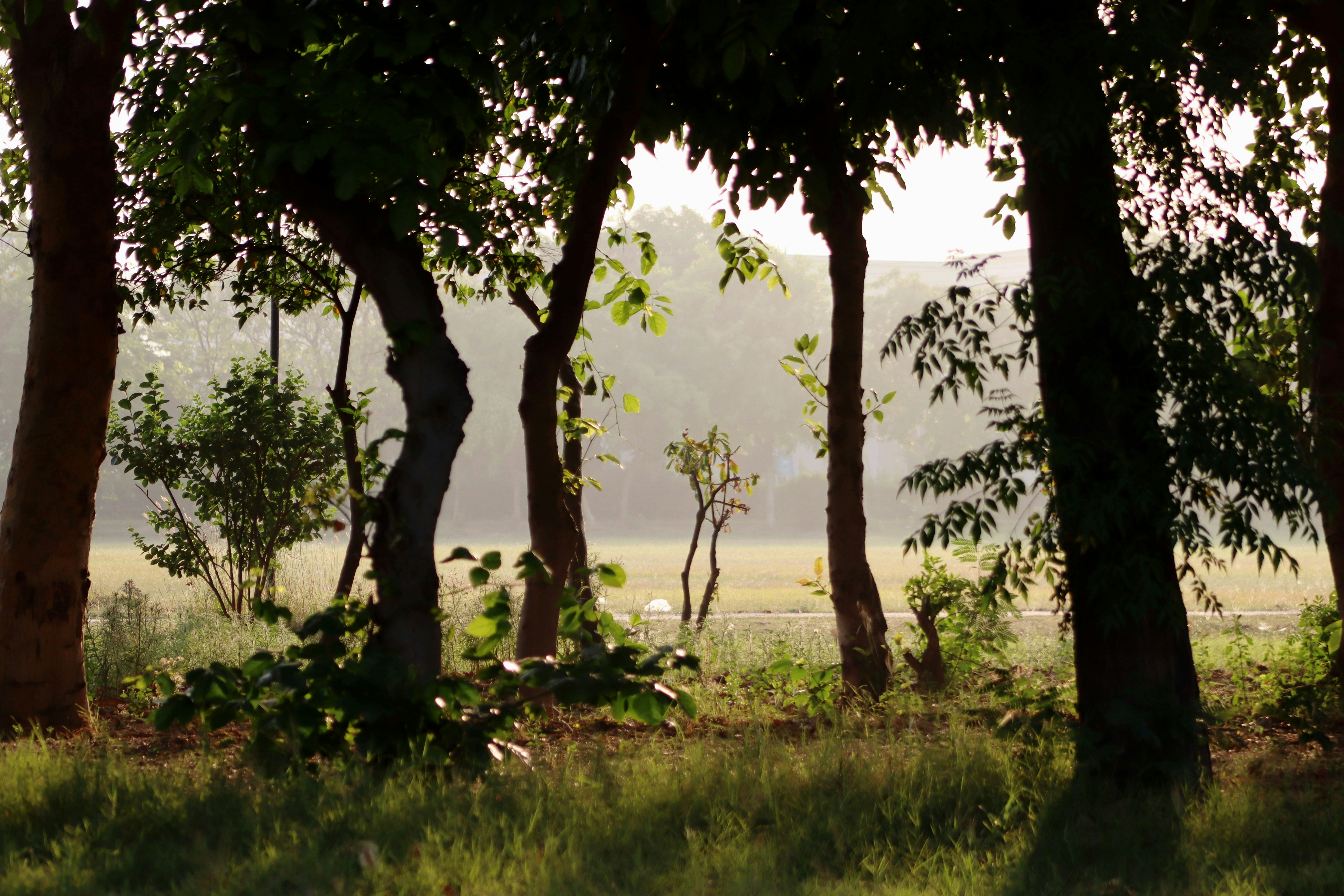 Photo by drphotographer152