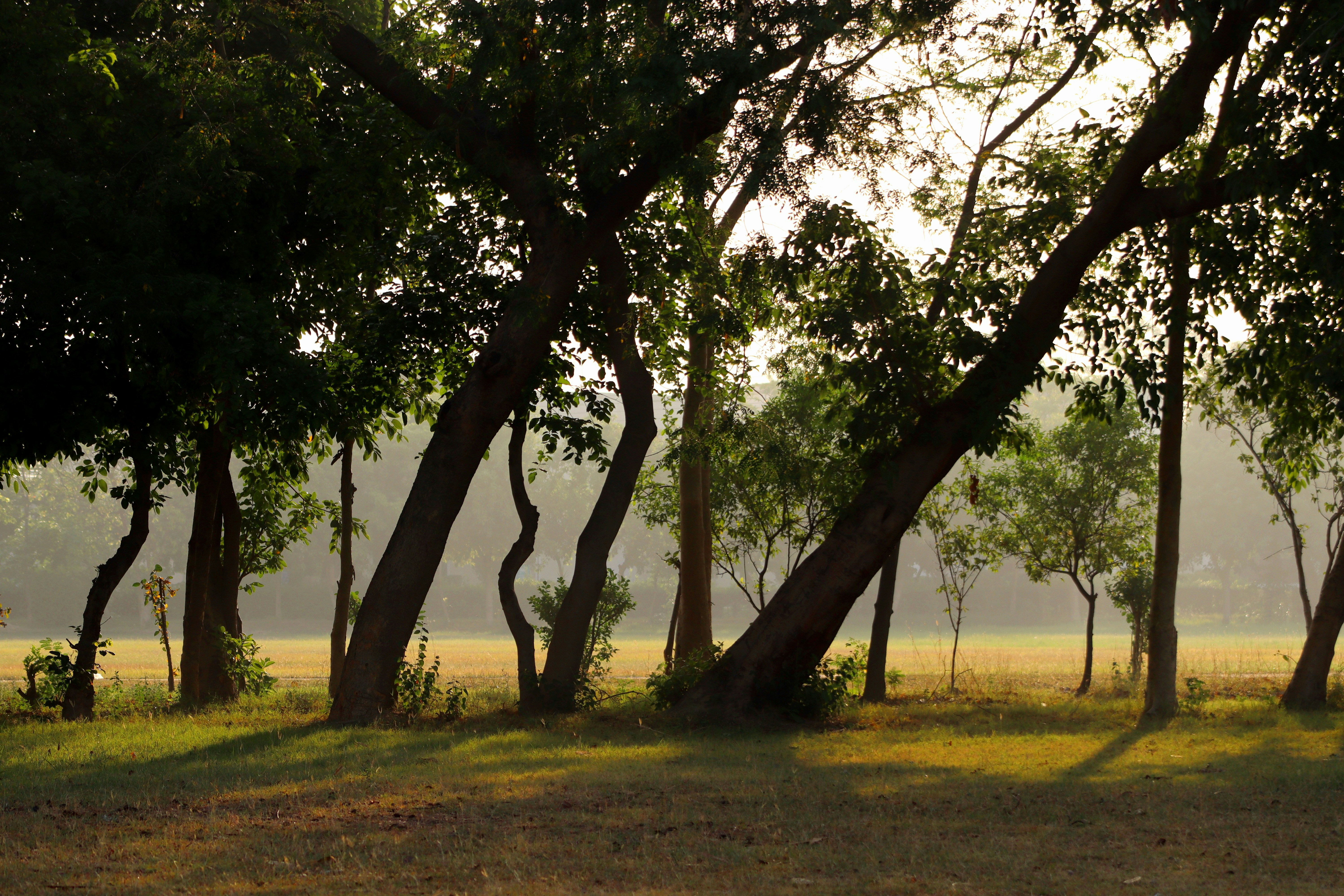 Photo by drphotographer152