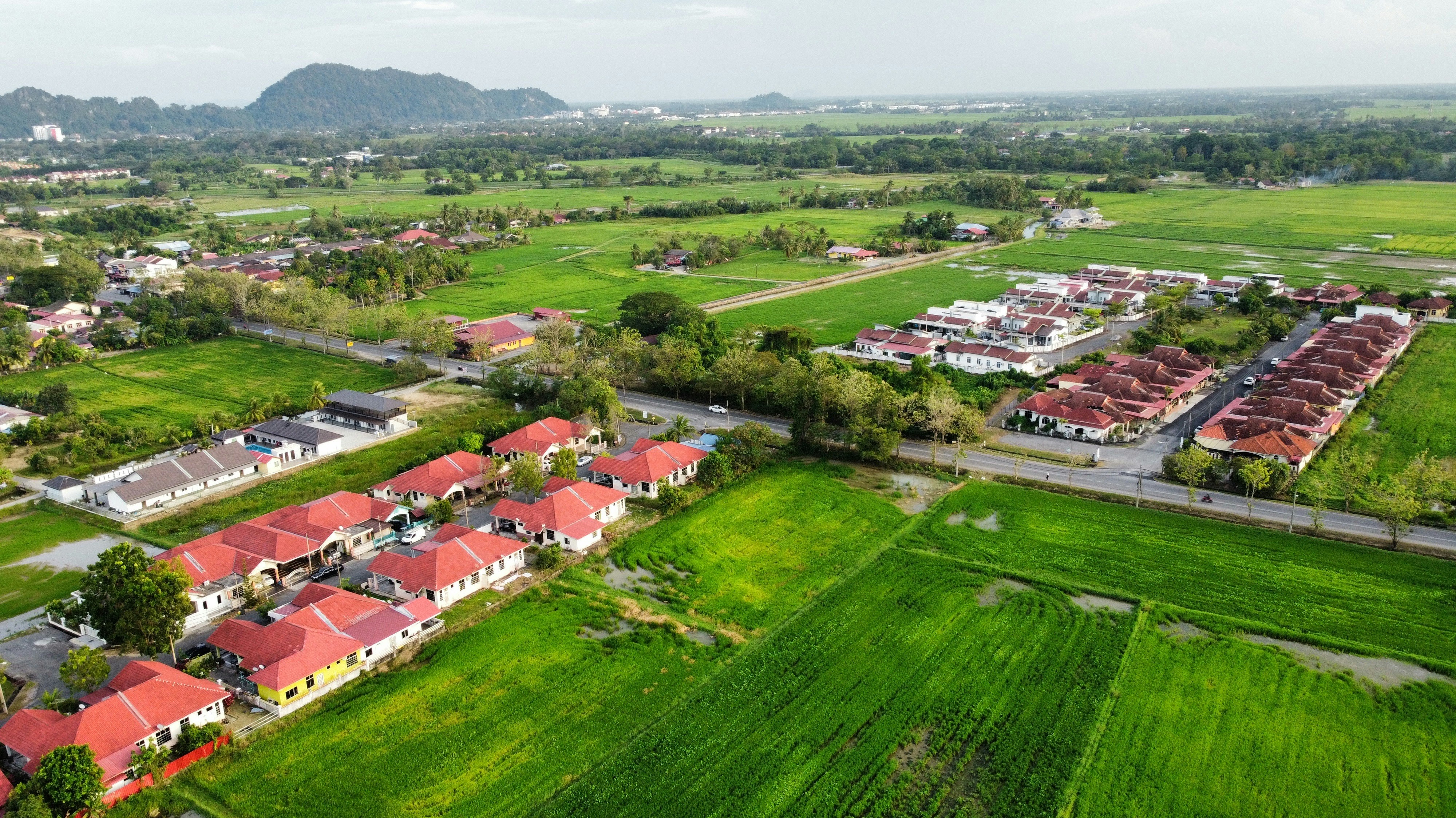 Aerial view of green fields