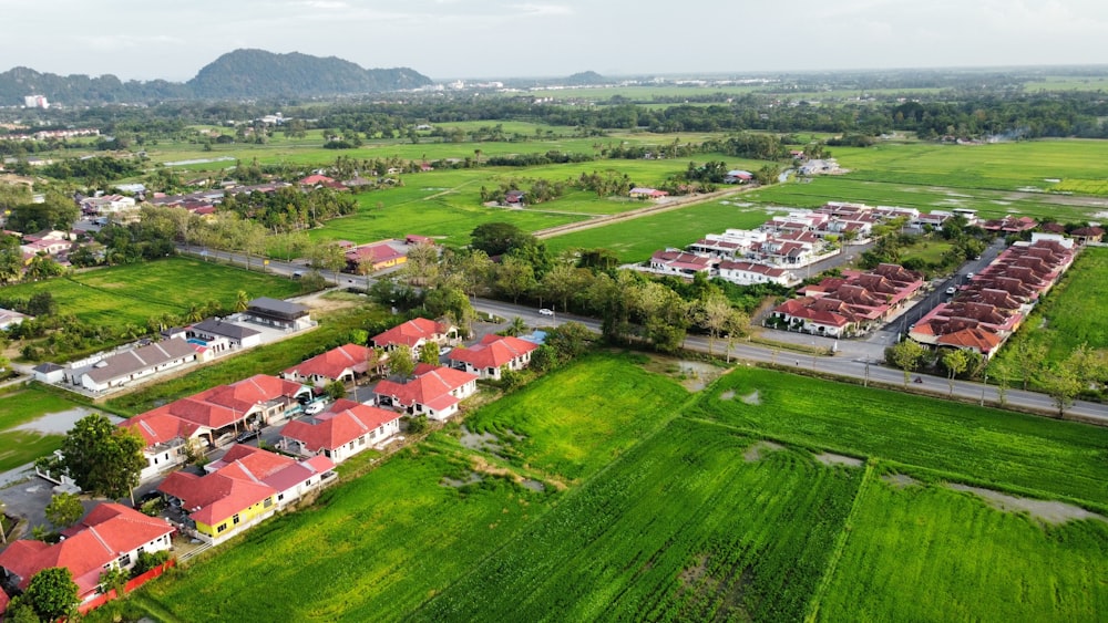 an aerial view of a green field with houses