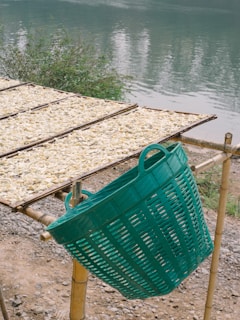 A green plastic basket hangs from a bamboo structure near a body of water. On top of the structure, trays filled with drying white items, possibly food like garlic or dried fish, are spread out. The background features greenery and a muted, lightly colored path with pebbles.